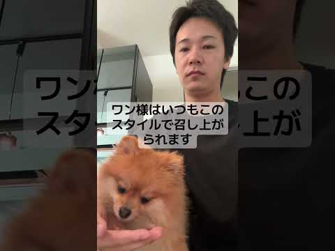 30歳子持ち漫画家志望の休日ルーティン #漫画家志望 #漫画家 #shorts サムネイル