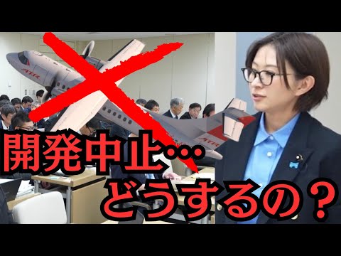 【都議会】想定外の、航空機開発中止…何が起きた？ サムネイル