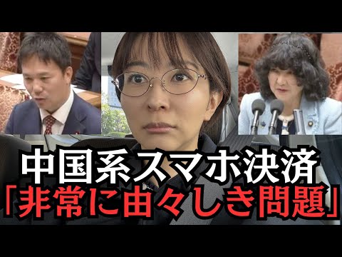 日本国内で広がる中国系スマホ決済「税務当局による売り上げ把握が困難に」 サムネイル
