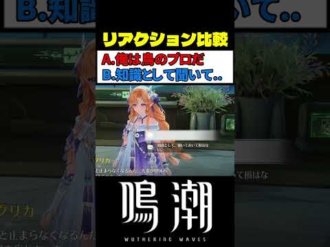 シグリカの褒め方 (選択肢A) が最高に素敵な理由 #鳴潮 #wutheringwaves #赤﨑千夏 サムネイル