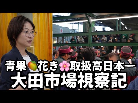 【都議会視察】日本一広い大田市場の視察に行ってきました。【中央卸売市場】 サムネイル